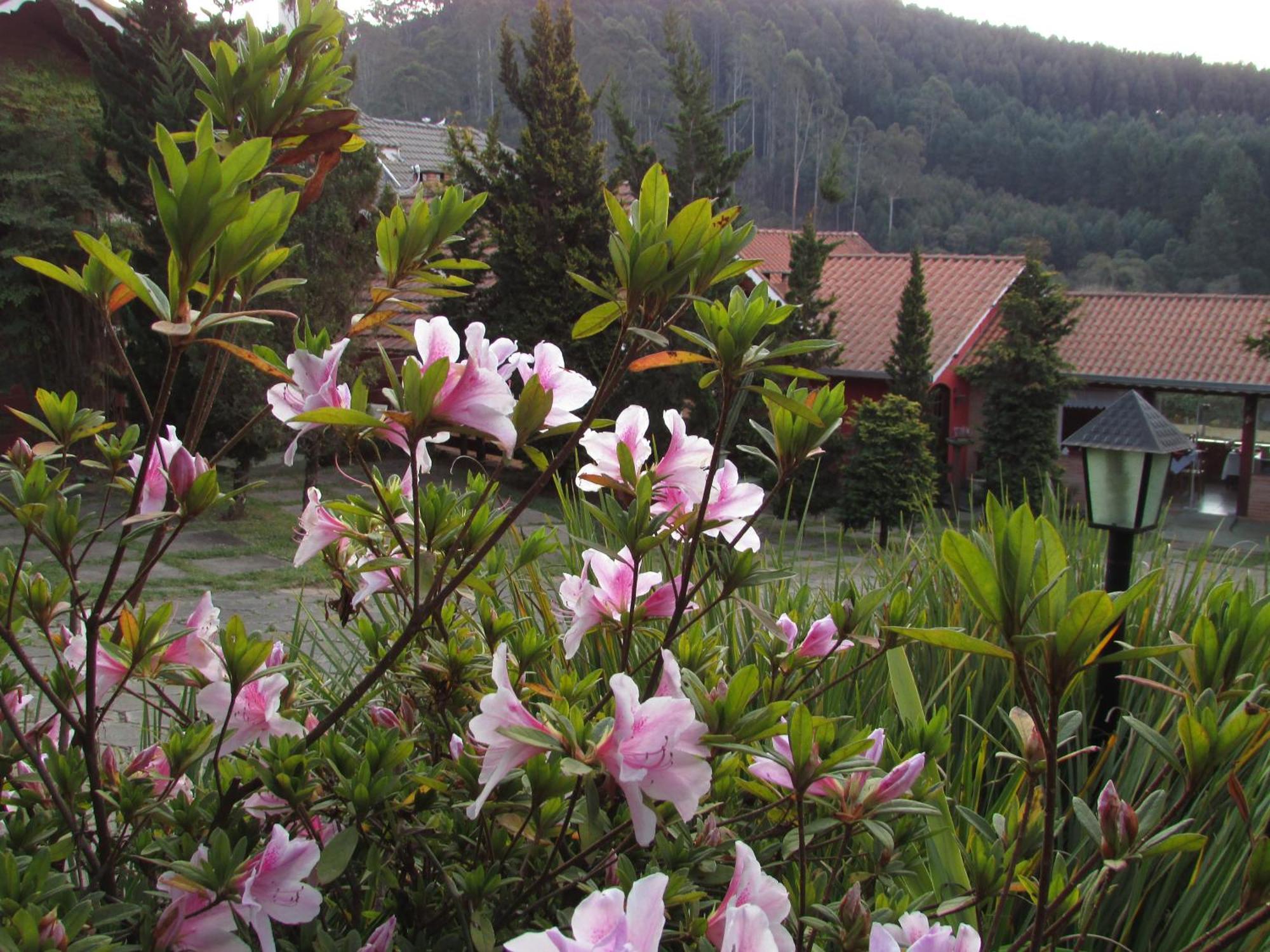 Pousada Flores Da Serra Monte Verde  Zewnętrze zdjęcie